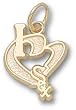 Chicago White "I Heart Sox" 1/2" Charm/Pendant