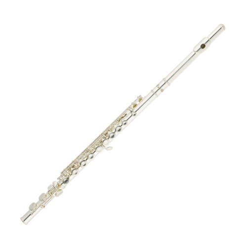 Childrens Toyshop  Musical Instruments : Cecilio Silver Plated Flute with Case
