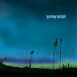Painting Twilight