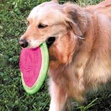 Booda Soft Bite Floppy Disc Dog Toy 10 Inch