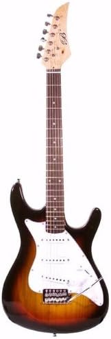 Assassin Electric Guitar Bundle with Gig Bag, Tuner, Strings, Pick Card, and Polishing Cloth - Tobacco Burst