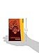 Decolonizing Anarchism: An Antiauthoritarian History of India's Liberation Struggle (Anarchist Interventions)