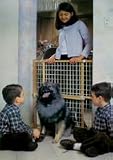 Four Paws Extra Tall Wire Mesh Security Gate