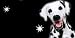 Airbrushed License Plate - Dalmation License Plate - #316