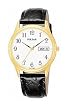 Pulsar Men's Watch #PXN080
