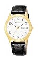 Pulsar Men's Watch #PXN080