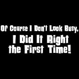 Did It Right The 1st Time Adult T-Shirt