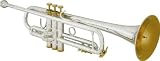 Bach LR180S - 43 Anniversary Custom Stradivarius Trumpet - B0002IITF8