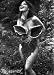 Bjork Poster ~ Nude Nymph in the Woods ~ Exclusive U.K. Import ~ 24x34