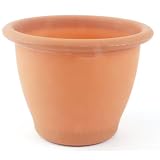 Terra Cotta Planter, 9