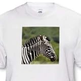 Zebra - Toddler T-Shirt (4T)