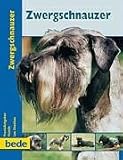 Zwergschnauzer