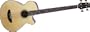 Rogue AB-304 Acoustic-Electric Bass, Flame Maple
