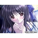 ����͕����U����̂悤�Ɂ@DVD-ROM��