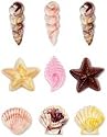 Wilton Chocolate Mould - Seashells