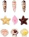 Chocolate Mould - Seashells