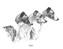 Original Whippets hand drawing