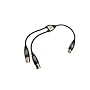 Monster CableLinks Y-Adapter, XLR para Mujeres (2) XLR Male (MCL FX2MX)