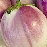 Organic Rosa Bianca Eggplant - 50 Seeds - Veggie - B001E3Z9TE