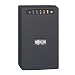 8-Outlet 1500VA/980-Watt Line-Interactive USB UPS System