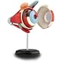 Human eyeball anatomy model
