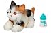 Toys : FurReal Friends - Kitten