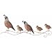 Wall Art 3D Metal - Quail Fowl Bird (R231) by Regal Gift