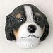 Refrigerator Magnets - Bernese Mountain Dog