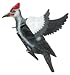 Decoy Wounded Woodpecker