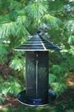Brushed Nickel Thistle Feedr 2