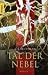 Tal der Nebel (Kaltfeuer, #4)
