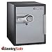 Sentry Safe 2.0 Advanced Business Safe