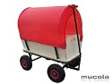 XXL BOLLERWAGEN / HANDWAGEN TRANSPORTWAGEN AUS HOLZ