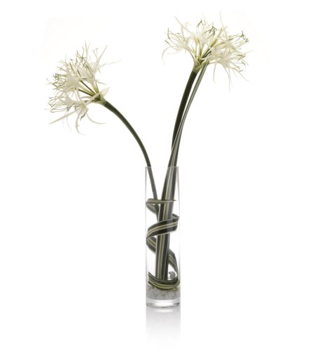 Spider Lily Vase