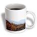 Fall in the Smokey Mountains North Carolina Mountains - 11oz Mug