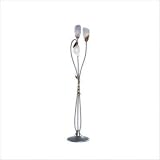Zaneen Lighting
