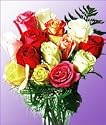 12 Mixed Colour Valentine's Day Long Stemmed Roses