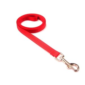 Xsmall Red Dog Leash/Nylon Webbing: 1/2