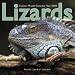 2008 Lizards 2008 16 Month Wall Calendar **IN STOCK NOW**