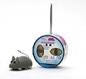 Remote Control Micro Mouse