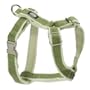Planet Dog Cozy Hemp Adjustable Harness Apple Green Medium