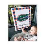 Sunshade - University of Florida
