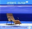 Ambient Lounge Vol.8