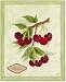 Bookplate Cherries Art Poster by Susan Glass - 10 x 8