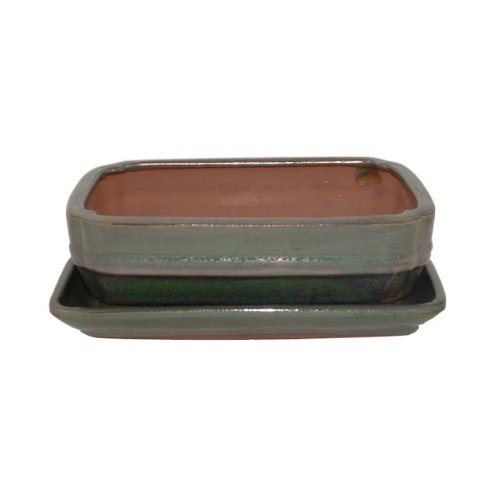 21cm Green Glazed Bonsai Pot and Tray Set