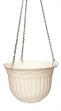 YPMA 1011-19 Balkon-Ampel Cissus 20 cm grün Terra-Line