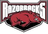 SD51127 Arkansas University Razorbacks Holographic Decal