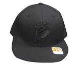 Miami Dolphins Black on Black Mitchell & Ness Throwback Fitted Cap / Hat