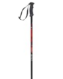 Scott USA Desire Trekking Pole