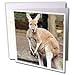 Wild animals - Red Kangaroo - Greeting Cards-12 Greeting Cards with envelopes Wild animals - Red Kangaroo - Greeting Cards-12 Greeting Cards with envelopes
